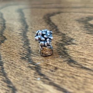 Retired Pandora two tone love bouquet